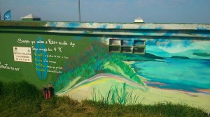 surf and clean mural razo